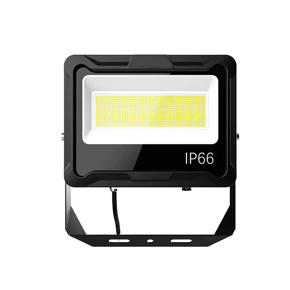 100w nye LED -flomlys